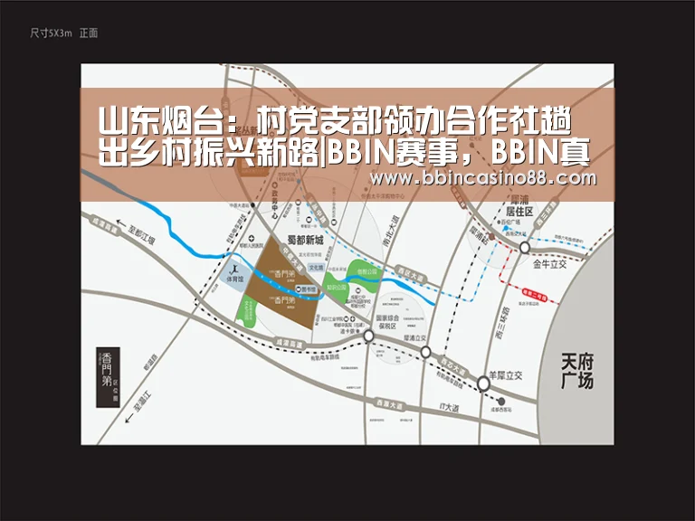 山东烟台:村党支部领办合作社趟出乡村振兴新路|BBIN赛事,BBIN真人,BBIN视讯,BBIN直播(图3) BBIN赛事,BBIN真人,BBIN视讯,BBIN直播